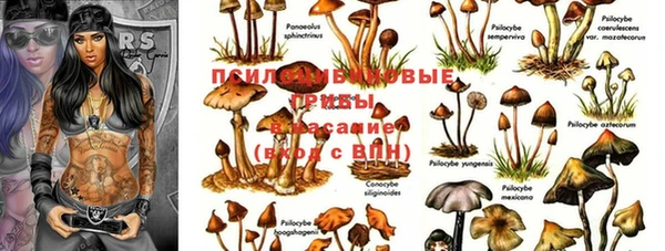MESCALINE Аркадак