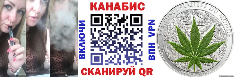 наркотики  Отрадная  Марихуана сатива 